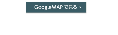 GoogleMAPŌ